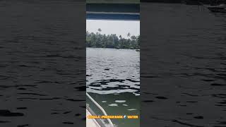 poovar Kerala