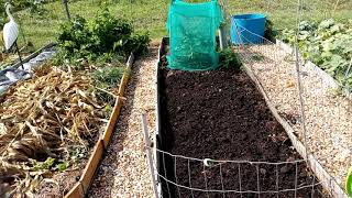 planting my overwinter onions and my bug house has residents...