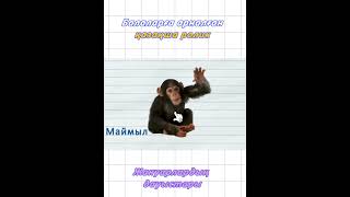 Қазақша мультфильмдер (Жануарлардың дауыстары 2)