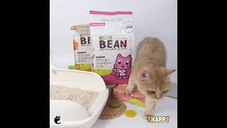 Snappy Bean Green Pea Cat Litter