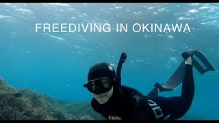 Okinawa's Coral Paradise: Freediving in Onna Village