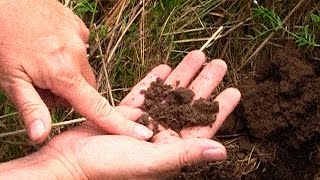 Soil Health, A Montana Perspective - Overview