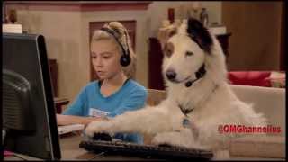 G Hannelius - Dog With A Blog - Season 1 highlights - A collection of clips from every episode