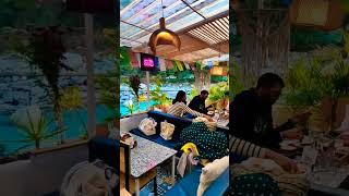 Ats cafe kasol❤️😘.            #shortvideo #viralvideo #kasol