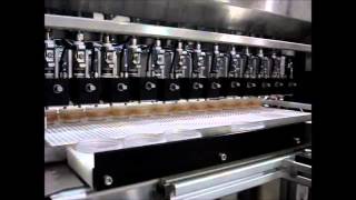 Automatic Molten Gravity Filler | Liquid Filling Machine - APACKS