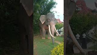 Nuwara eliya Sri Lanka most wanted video in youtub