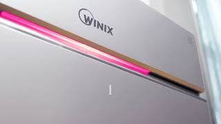 WINIX Zero Pro Air Purifier