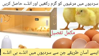 How to Keep Chickens Warm in WinterNights | Chicken Winter Medications | increase eggs production