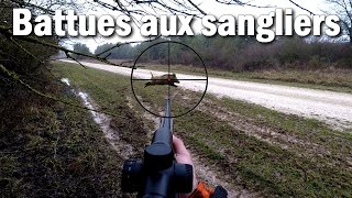 Chasse du sanglier en battue - Grandes battues hivernales - Cerfs, sangliers et brocard !