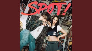 ZICO (지코) ‘SPOT! (feat. JENNIE)’ (Lyrics)