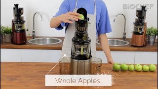 BioChef Quantum Whole Slow Juicer