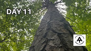 Biggest Mile Day So Far | Day 11 | Appalachian Trail 2023