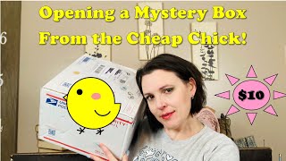 Opening a Junk Drawer Mystery Box from The Cheap Chick!