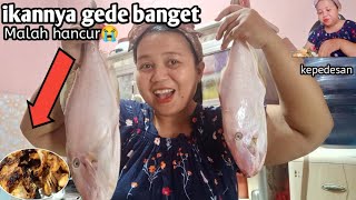 Malah Hancur !! Dikasih ikan gede banget