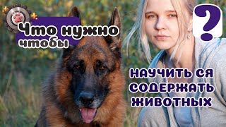 Люди не умеют содержать и собак. А хотят заводить экзотику. Что же делать?