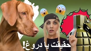 شما هم اینطوری فکر می کردید؟ 🤨😮 | دانستنی های روز دنیا