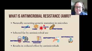 An Introduction: Improving disease ID, treatment, & antibiotic stewardship in livestock production