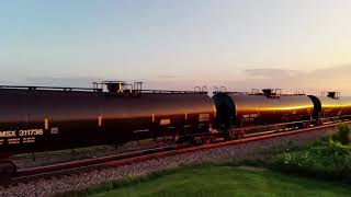 Train and cornfields in Iowa