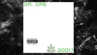 17 - Dr. Dre - Some L.A. N****z (Remix) ft. 2Pac, Raekwon @editbyheaf