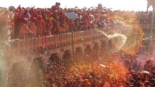 Barsane ki holi😍 on 7th February mathura,vrindavan