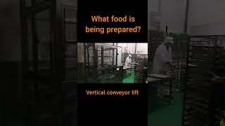 Vertical conveyor lift, Cargo lift, Continuous elevator , rubber block lift