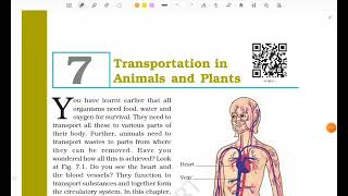 Class7 Science Chapter 7 Transportation in Animals and Plants Full Chapter detailed explanation