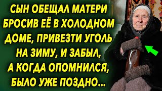 Обещал матери бросив ее в холодном доме, привезти уголь на зиму, и забыл, а когда опомнился…