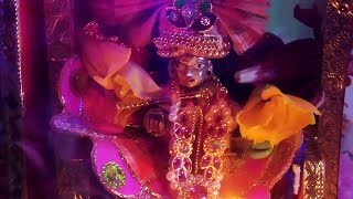 hare rama hare krishna || krishna bhajan || sejal dubey ||