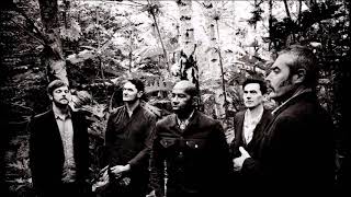 Tindersticks – Trees Fall