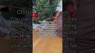 Christmas Tree Hack #shorts #christmas #christmastree #hack #sprite