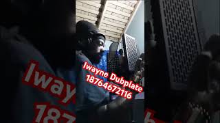 Iwayne Dubplate 18764672116