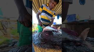 Perfect Fish Cutting Skills Big Tuna Fish Rural Fish Market #shorts