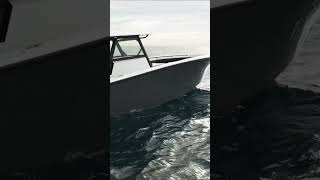 Majestic 42 Yellowfin with a super open transom area