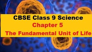 Class 9,, Science (Biology),, Ch 5 The Fundamental Unit Of Life,, (Part 6)