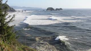 LTC Moments of Zen: Oregon Coast Relaxing Waves