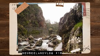 Neuseelandvlog no.16 // Ein Tagestrip nach Waihi & der Versuch zu Planen