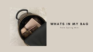 What's In My Bag | Louis Vuitton Palm Spring Mini