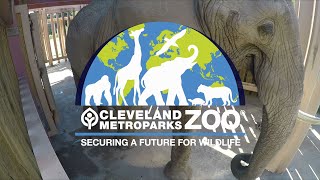 Visit Cleveland Metroparks Zoo