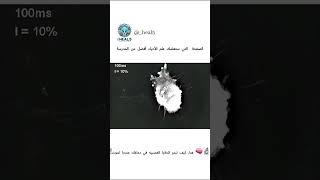 🔬🧠 هنا، كيف تبدو الخلايا العصبيه في دماغك عندما تموت!