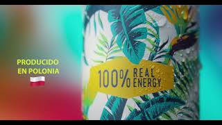 Descubre KABISA: Energía Natural y Sabor Afrutado en Latas de 250 ml - Calidad y Entrega Rápida