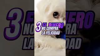 7 PENSAMIENTOS que te Mantienen POBRE parte 2  #ahorro #educacionfinaciera #capcut #curiosidades