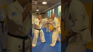 Sensei Jan Soukup - KWU SENSHI camp, Sept 2024 #kyokushin #martialarts