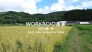 省力化しても豊作！ロボット技術を活用した「WORKROID米」を初収穫