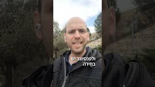 הדרך לממש קיבוע זכויות