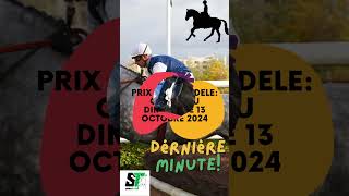 DERNIERE MINUTE  PRIX ANDRE ADELE QUINTÉ DU DIMANCHE 13 OCTOBRE 2024 #QUINTE#PMU#TURF