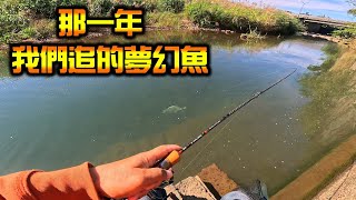 那一年我們追的夢幻魚