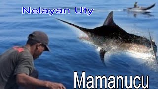 sensasi tarikan hendline memang mantap jadi marlin buat anggler menjauh dari rumpon