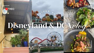 UNEDITED DISNEYLAND & DCA VLOG | Magic Key Terrace | Mickey and Friends Halloween Cavalcade 🍽️🎃