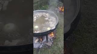 мяса это энергия тела