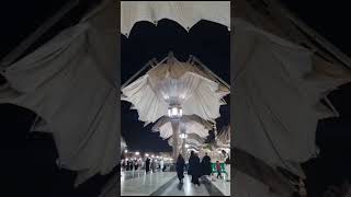 #shorts#shortsvideo #shortsfeed #madina #mashjidenabwi#live